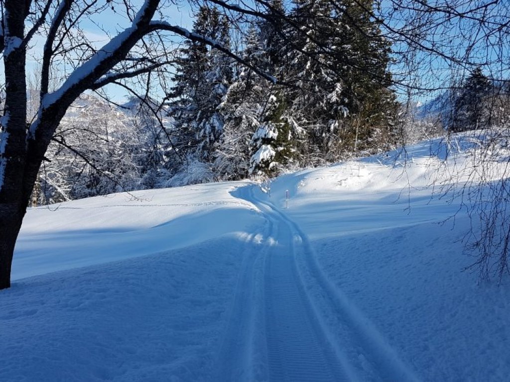 Winterwanderweg Alberschwende