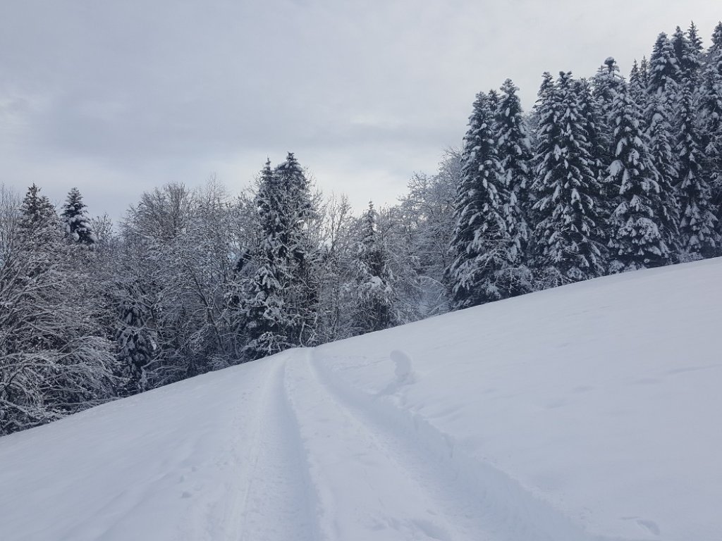 Winterwanderweg oberhalb von Müselbach