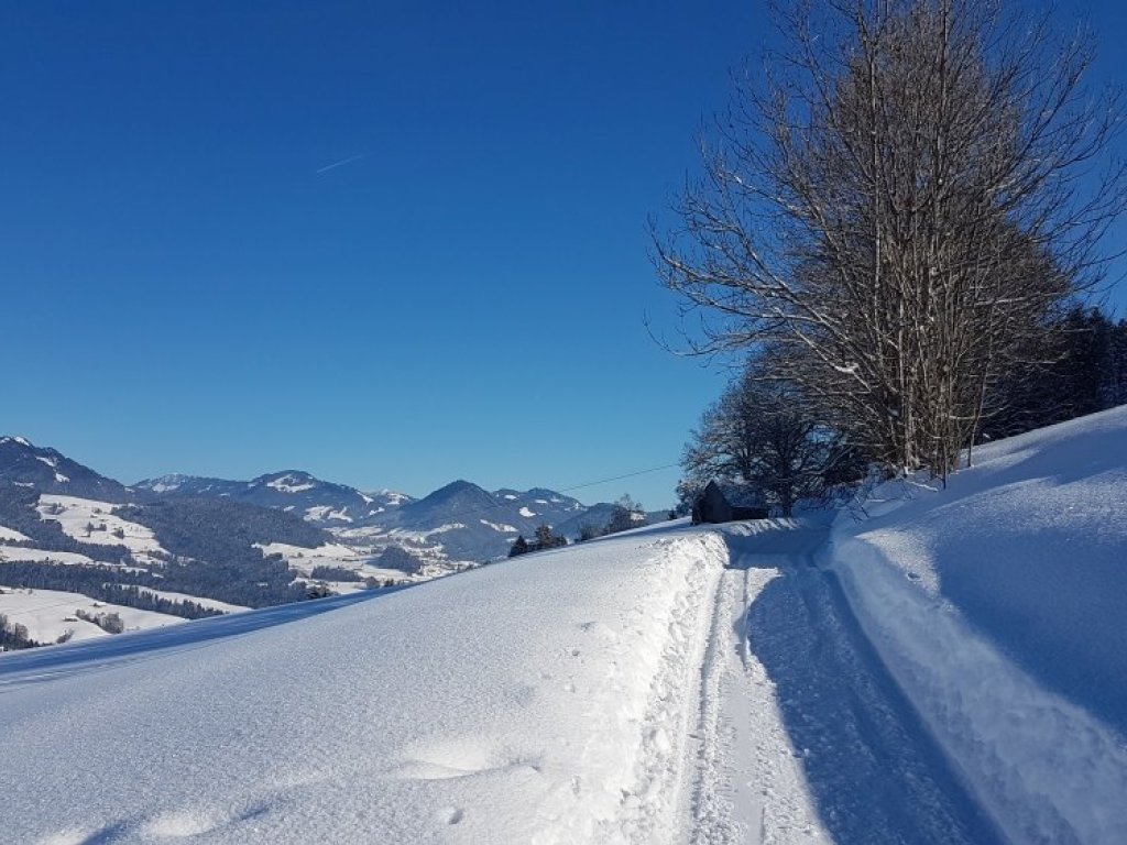 Winterwanderweg in Dresslen nach Müselbach