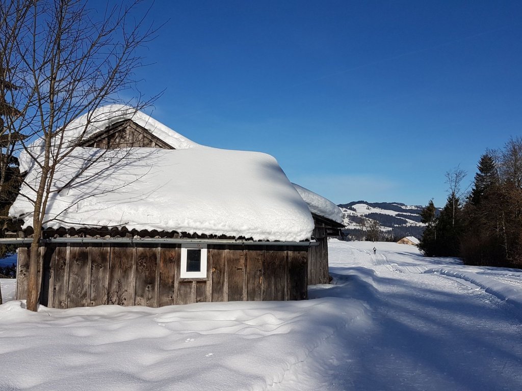 Loipe und Winterwanderweg in Alberschwende