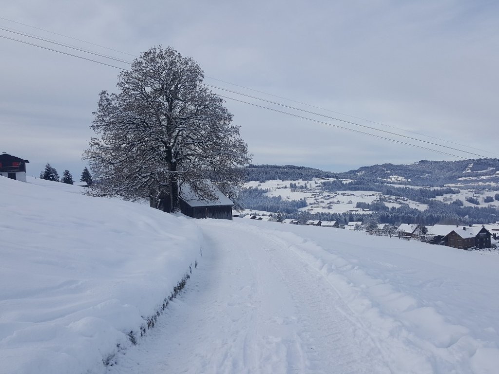 Winterwanderweg in Tannen