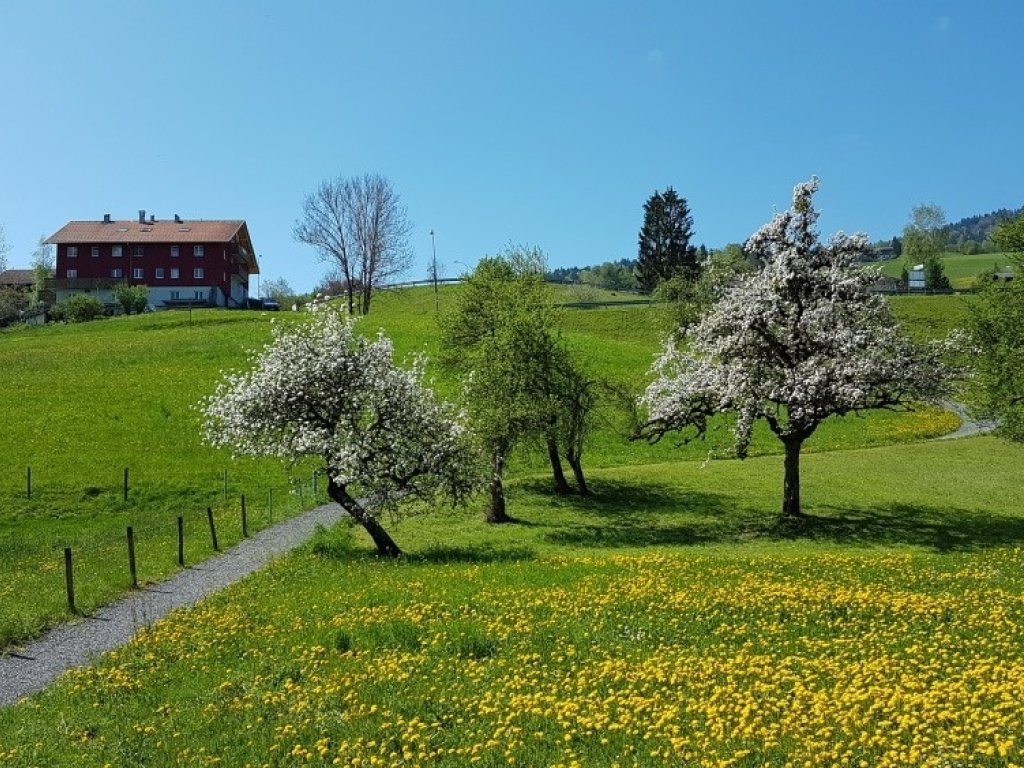 Frühling in Müselbach