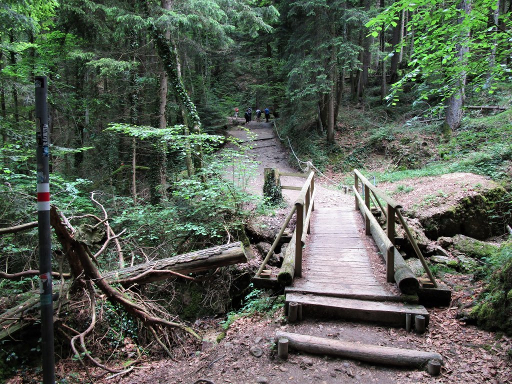 Holzbrücken müssen im feuchten Bergwald immer wieder instandgesetzt werden