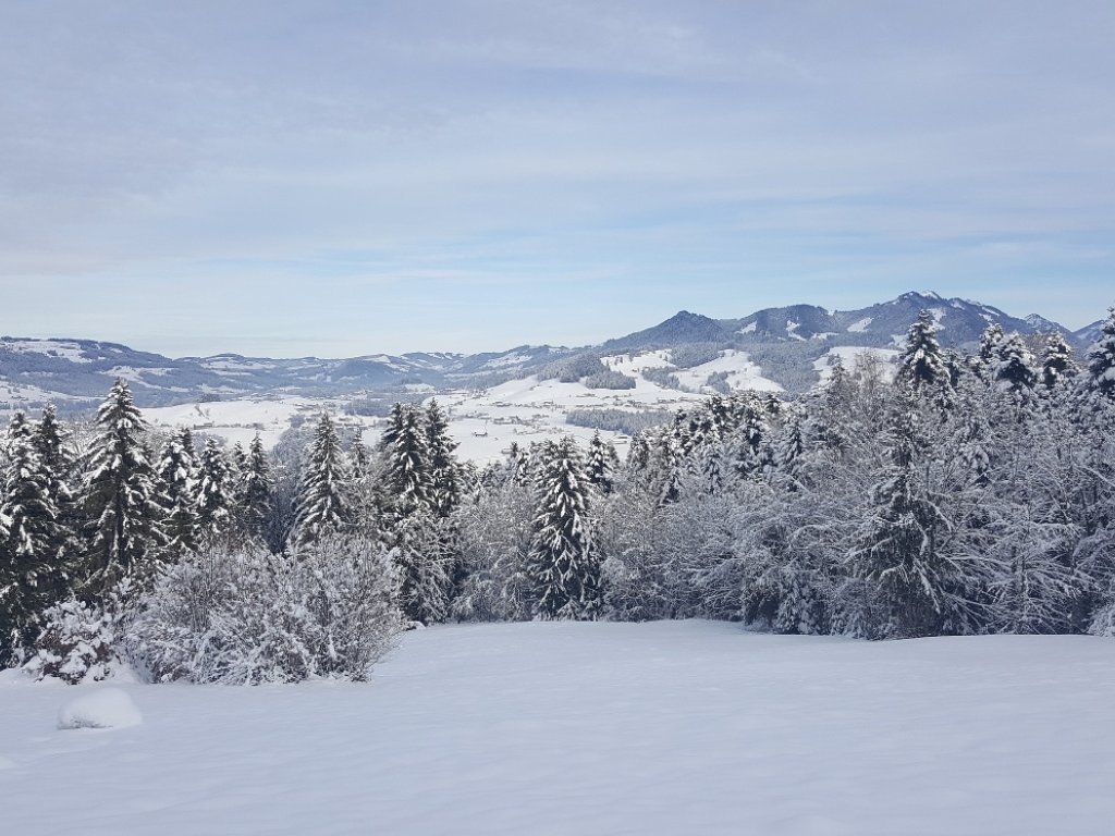 Ausblick oberhalb von Müselbach nach Langenegg