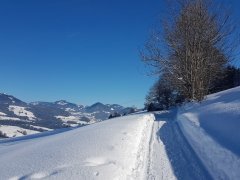 Winterwanderweg in Dresslen nach Müselbach