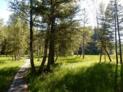 Weg durch das Naturschutzgebiet Nord Langenegg