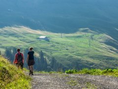 Blick auf das Alpgebiet der Breitenalpe